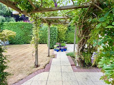 Picture 19